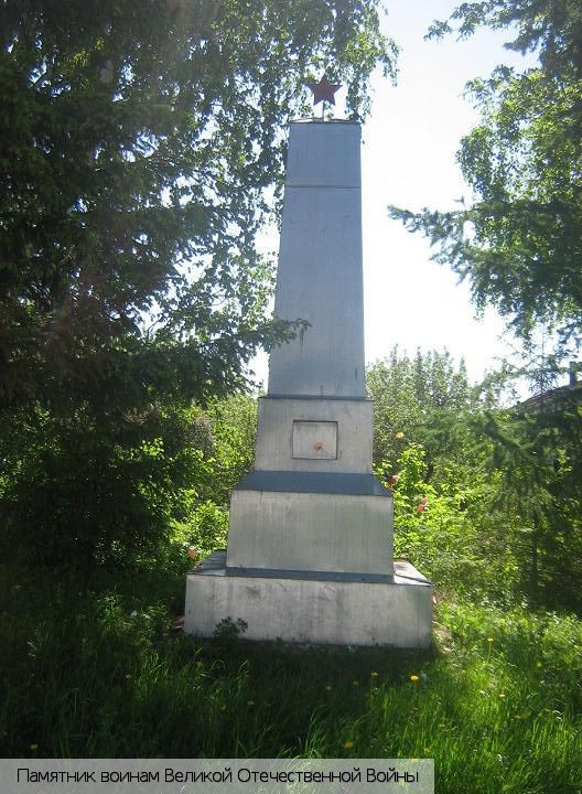 Нижнее Турмышево деревня, Россия