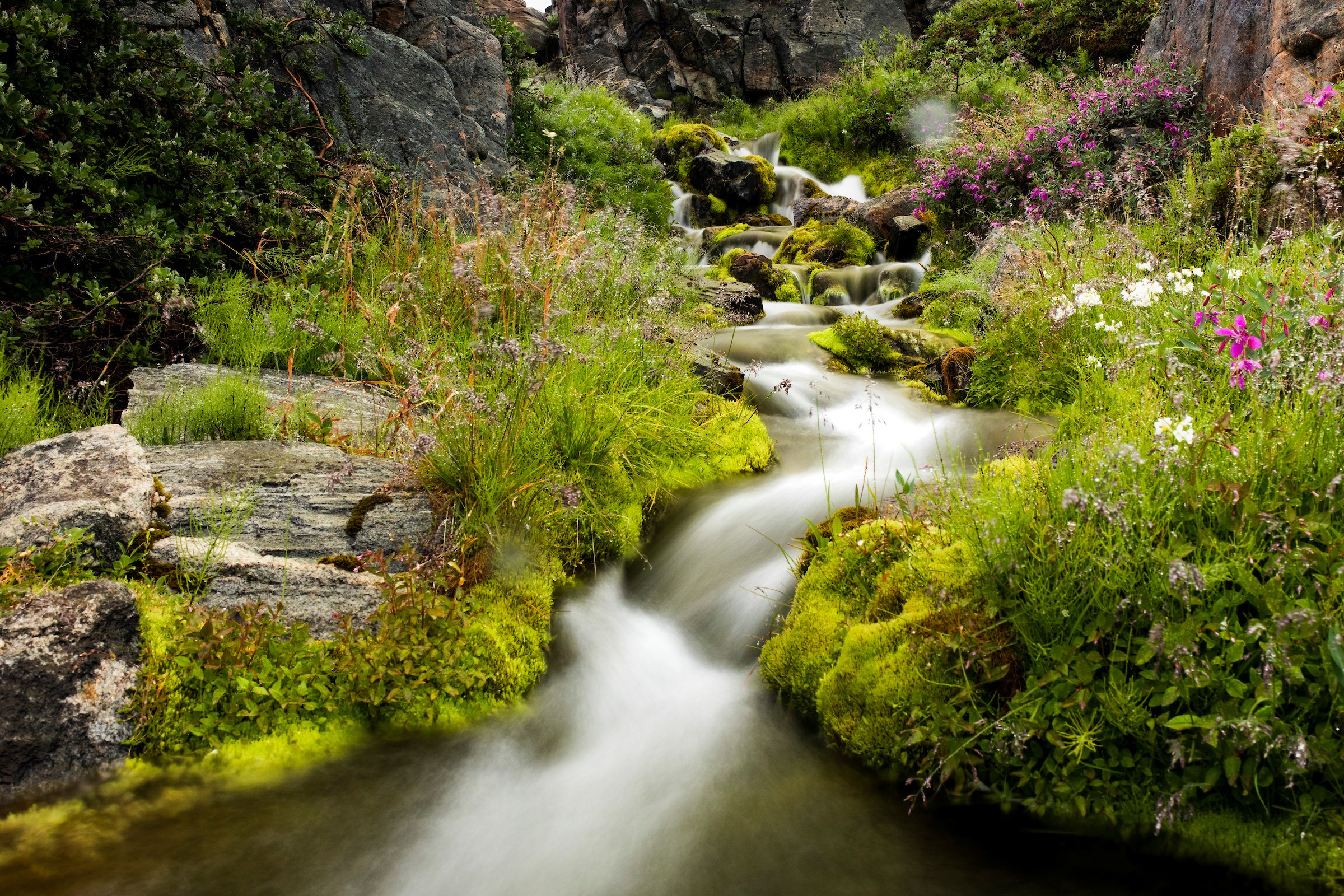 Кекертарсуак