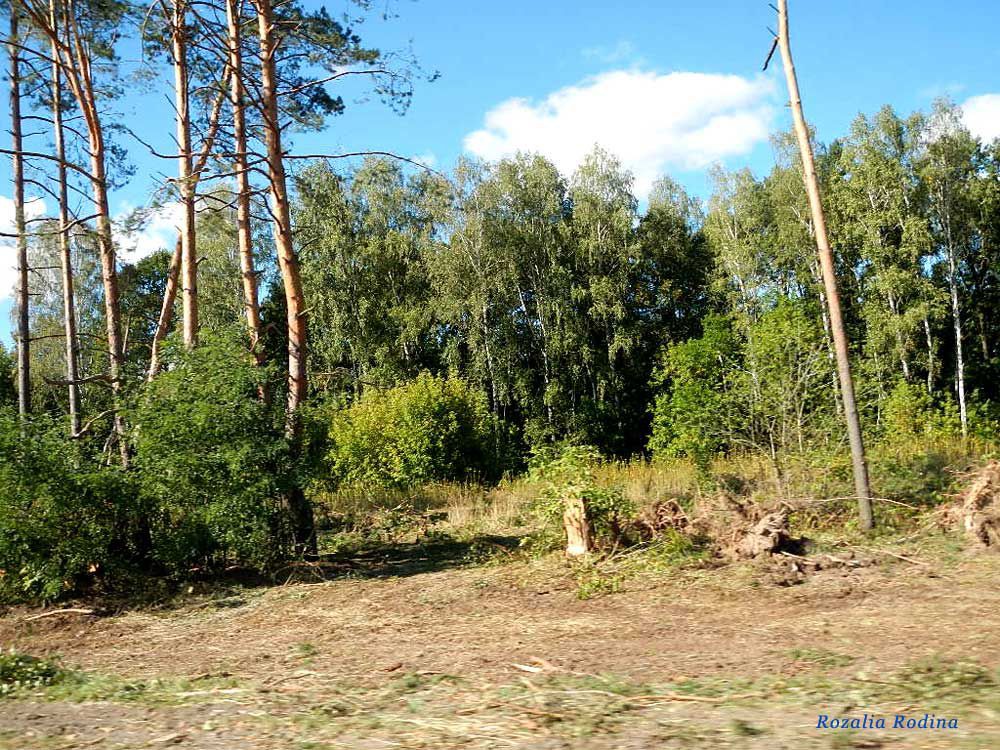 Жгунская Буда