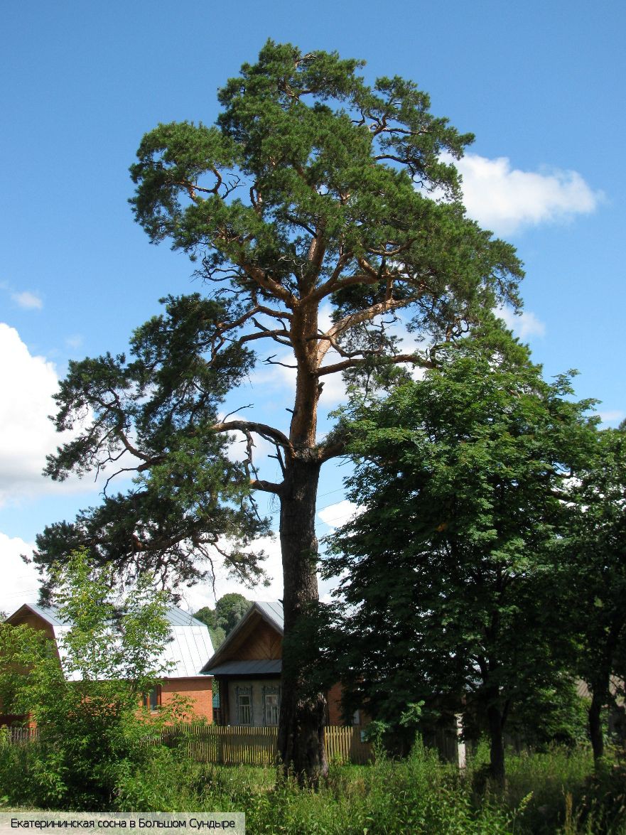 Моргаушский район, Россия