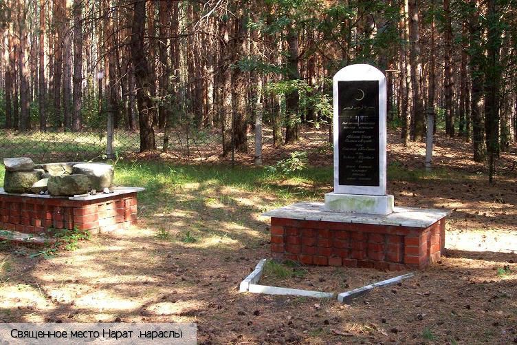 Полевые Бикшики, Россия