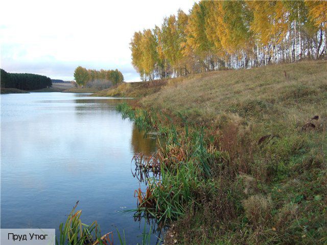 Дальние Сормы, Россия
