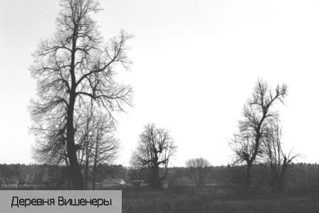 Вишенеры деревня, Россия