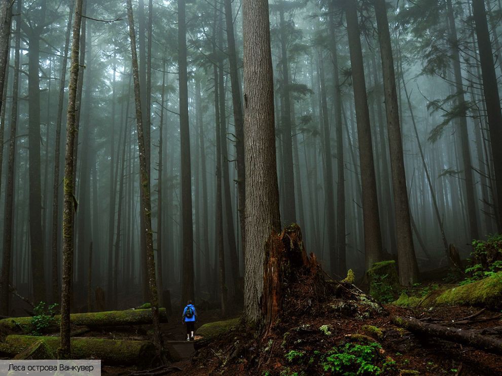  Канада (экскурс.)