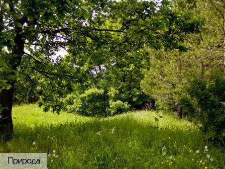 Буртасы деревня (Вурнарский р-н), Россия