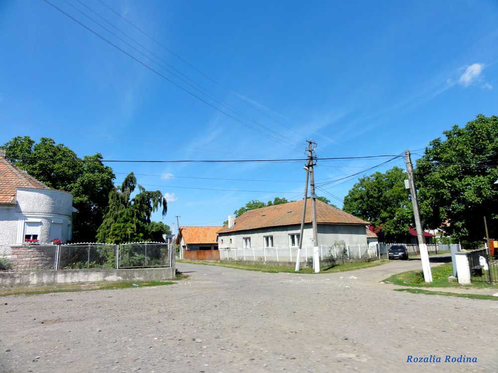 Великая Быйгань , Украина