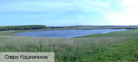 Кошки деревня, Россия