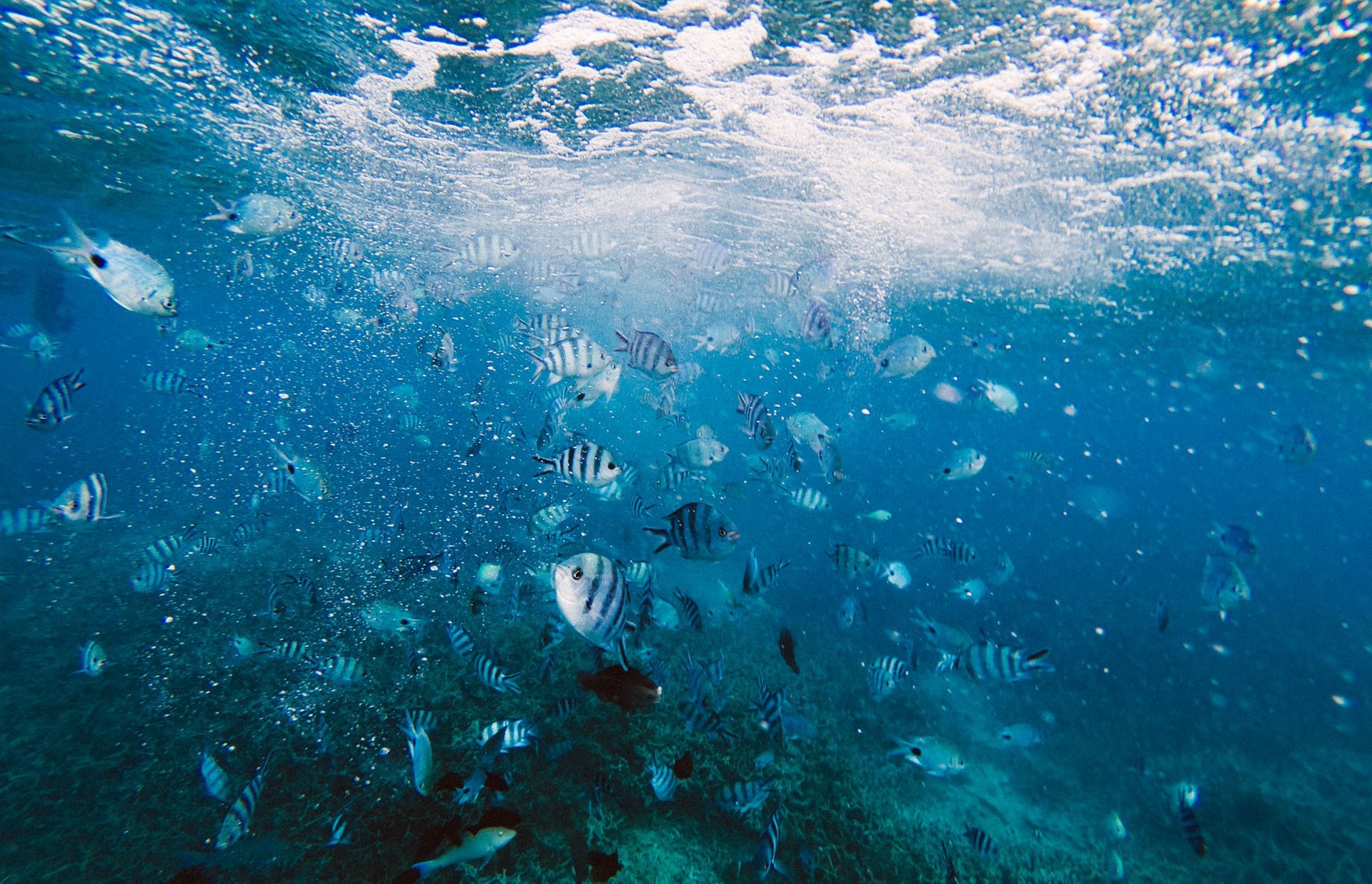 Иль-де-Кокос