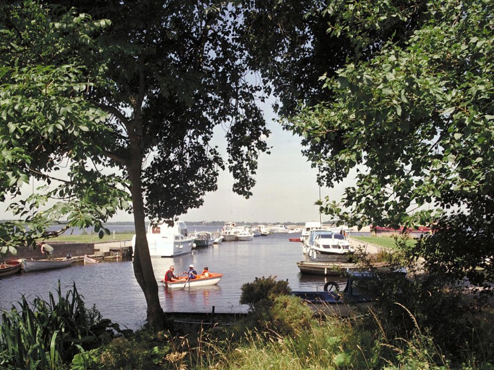 Терригласс