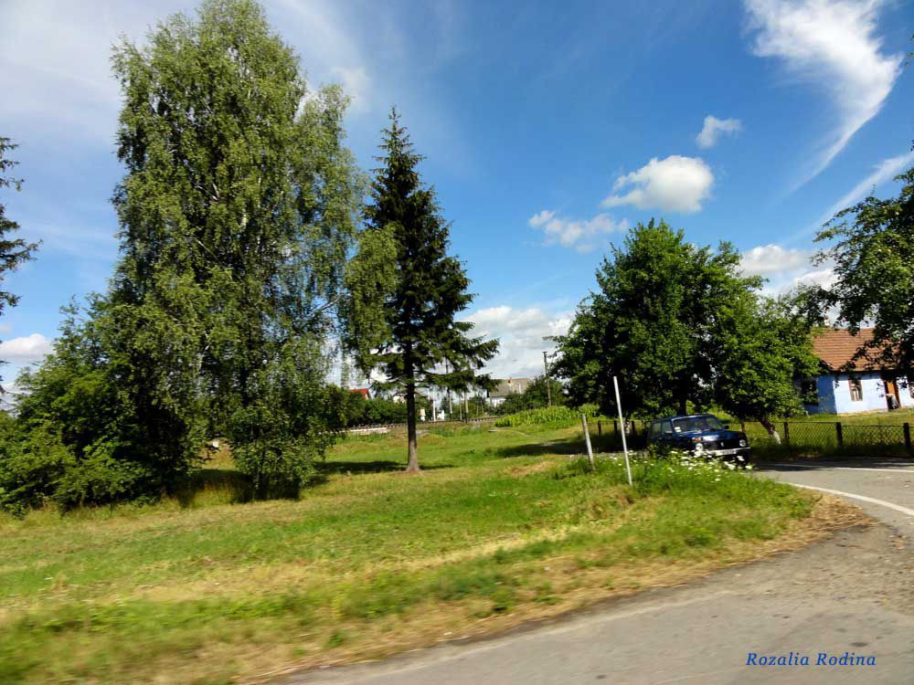 Пятничаны (Стрыйский р-н), Украина