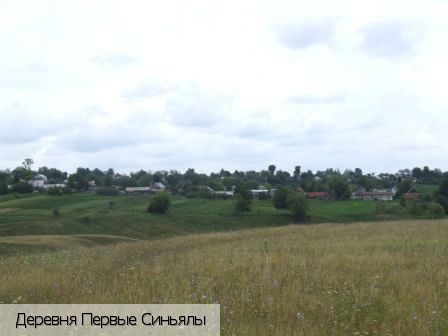 Первые Синьялы деревня (Мариинско-Посадский р-н), Россия