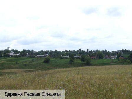 Первые Синьялы деревня, Россия