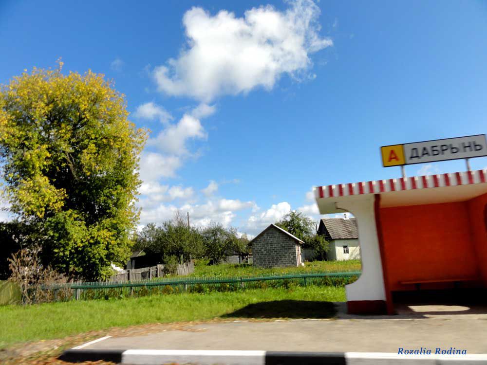 Добрынь (Ельский р-н)