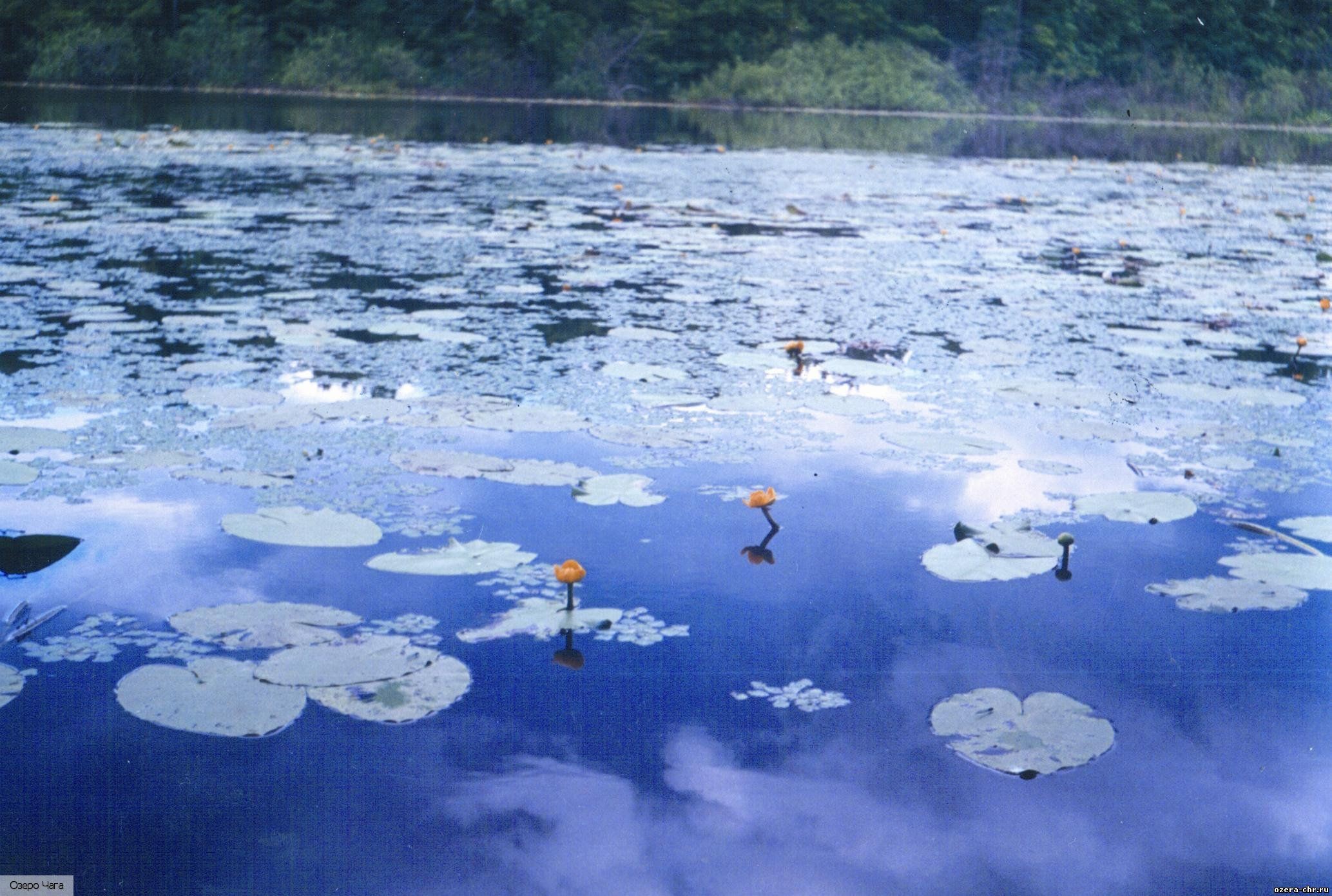 Сурский Майдан село, Россия