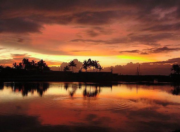 Лунава, Шри-Ланка