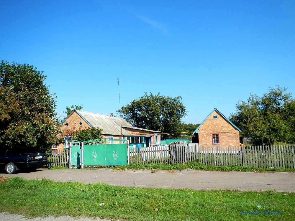 Рея, Украина