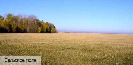 Новое Чурашево село, Россия