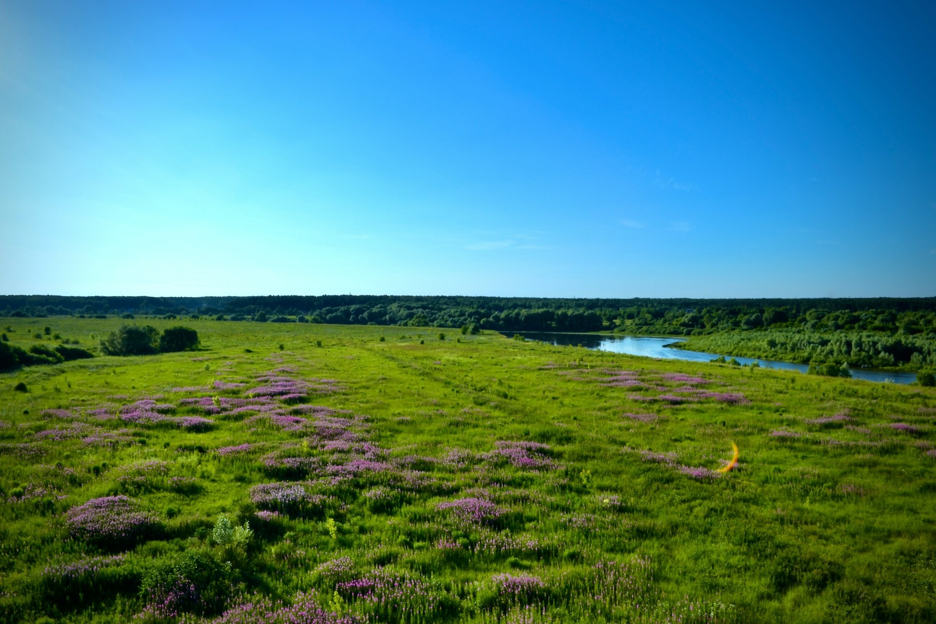 Калужская обл.
