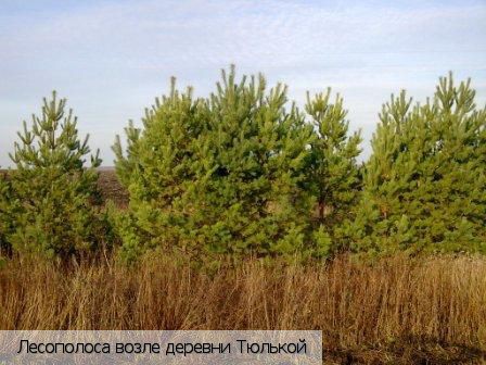 Тюлькой деревня, Россия