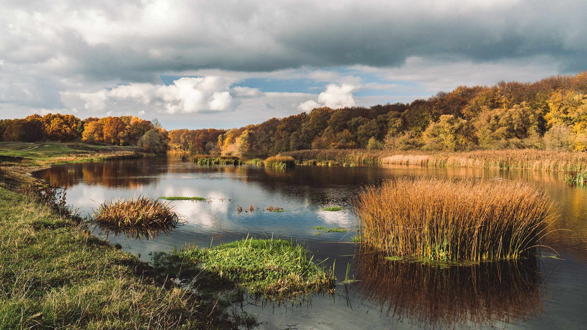 Курская обл.