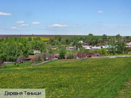 Таныши деревня, Россия