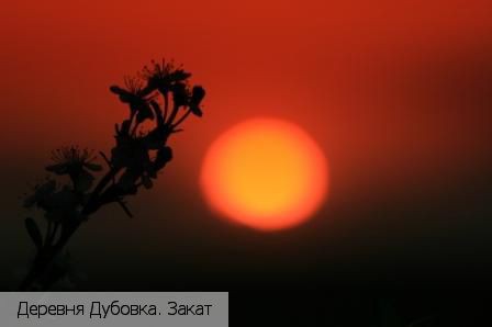 Дубовка деревня (Красночетайский р-н), Россия