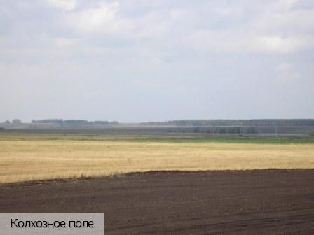 Кумаши деревня, Россия